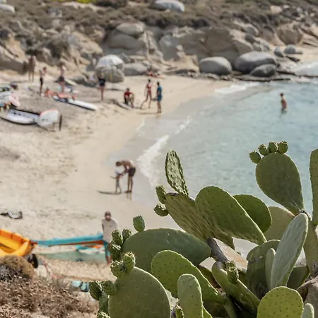 Kontos Apartament Mikri Vigla